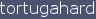 Staff Tortugahard Staff Tortugahard